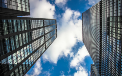 SBR Eligibility Checklist: Liabilities, Tax and Entitlements